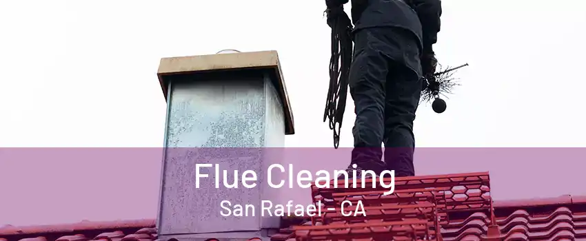 Flue Cleaning San Rafael - CA