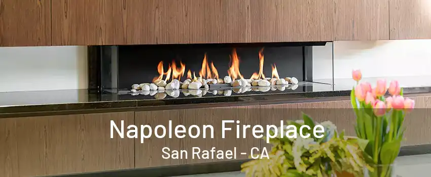 Napoleon Fireplace San Rafael - CA